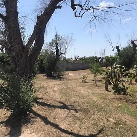Montinaro Σπίτι διακοπών San Foca