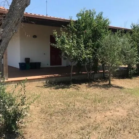 Montinaro